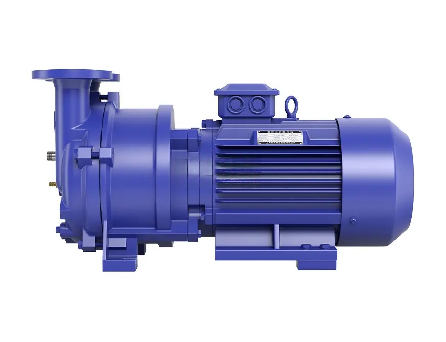 SKA, 2BV type water ring vacuum pump